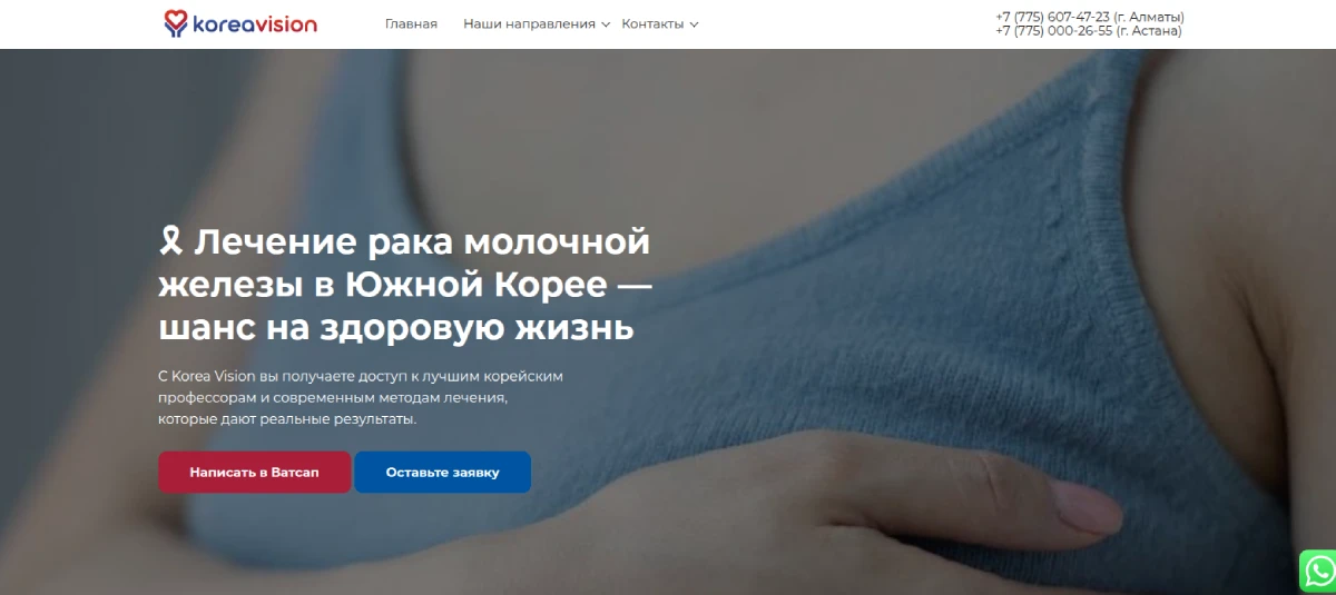 https://koreavisionkz.kz/